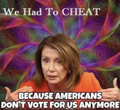 pelosi-we-have-to