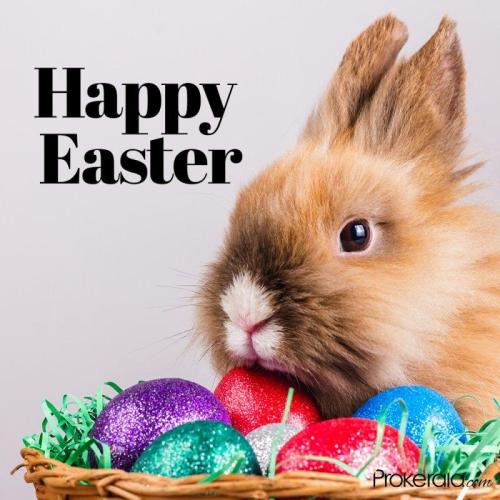 7072f591-d263-494e-9a15-94ab4170f9f6