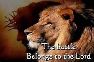 afb17a4a-e991-43e6-8306-99a217a2db4f