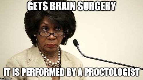 maxine