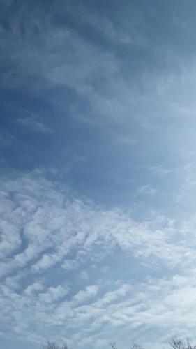 6e7d69c3-58f5-4243-8844-a5b8a6ef9367