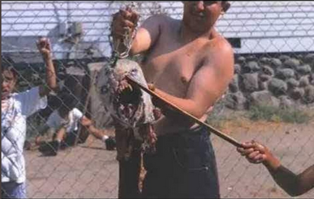 Screen Shot 2021-07-27 at 12.50.28 PM