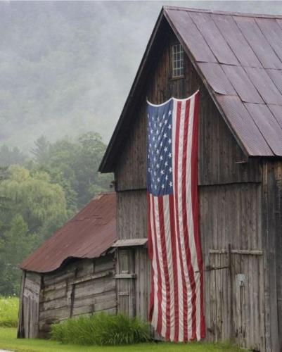 e91394c9-1780-4b7d-a9e8-83cdcf7e9837