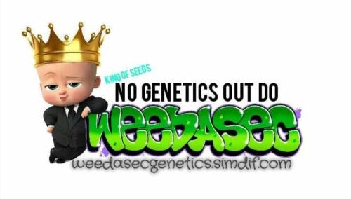 6978be6d-4710-4ba2-b232-77f90e05f927