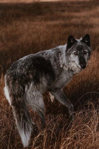 tumblr_c1c8ffbb5b0ee72e2bf24391da866fc7_b91e7cc6_1280