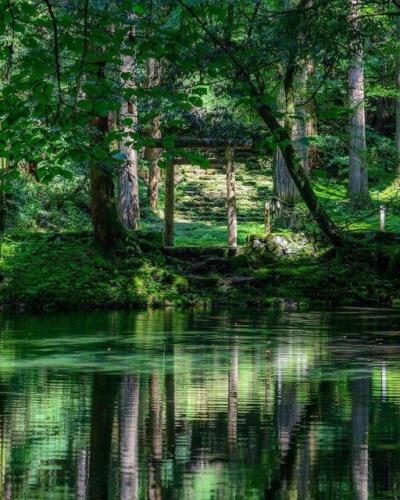 278944267_533872371442103_199343629618948233_n