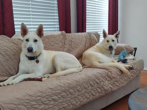 10947d6b-cebd-4388-bf3d-9cb617679c29