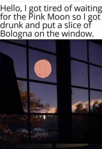 279129818_10221199938654707_2284555958795538053_n