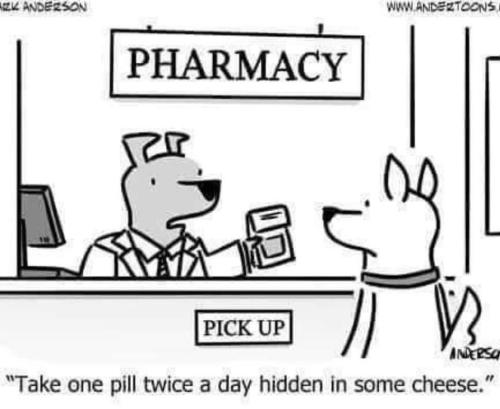 88D7D8CB-51DE-4A33-A625-E14B370CC1BD