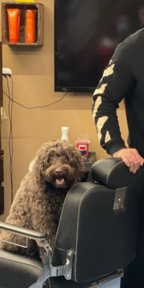 Screenshot_20220225-004550