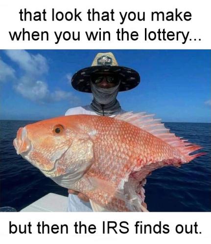 irs41