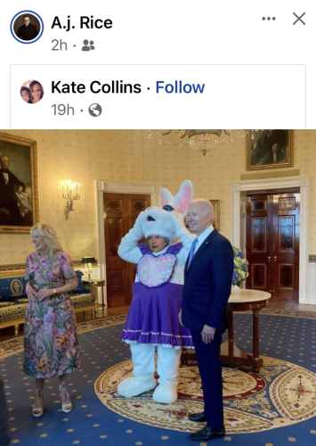 Kinda like The Masked Singer