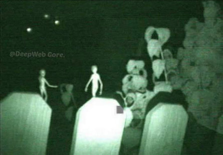 Screen Shot 2021-07-27 at 12.47.06 PM