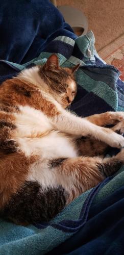 17:33:20 GMT-0500 (CDT)