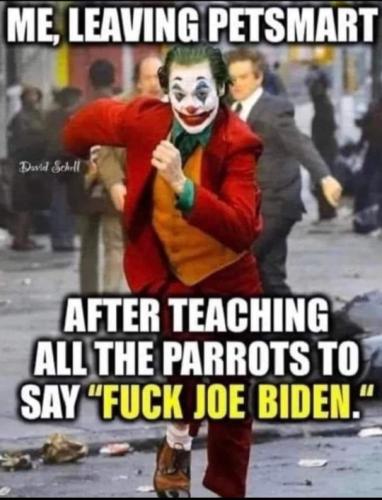 E241CBDA-4EF2-457E-BCF5-24B9EEF6F51C