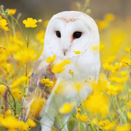 2a6e0bd6-27b2-4abb-83a3-1c9dba971b9f