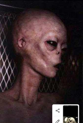 Screen Shot 2021-07-27 at 12.49.38 PM