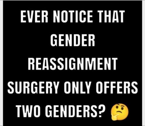 db3eba11-10c5-4dd8-835d-25553a94af4f