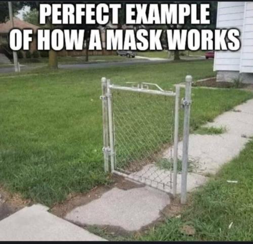 1b8ff6d0-f780-44d7-b442-cfba3a6bddf5