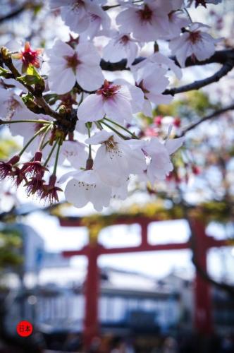 278568921_7302303973174592_8267475044936430651_n