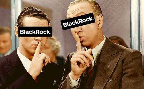 BlackRock Owns Everything