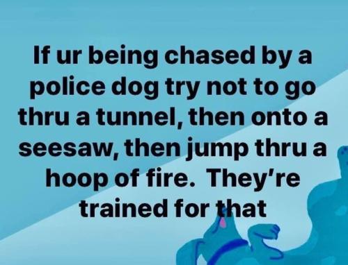 A39BCD01-FC81-4392-8DED-251BE5162BE7