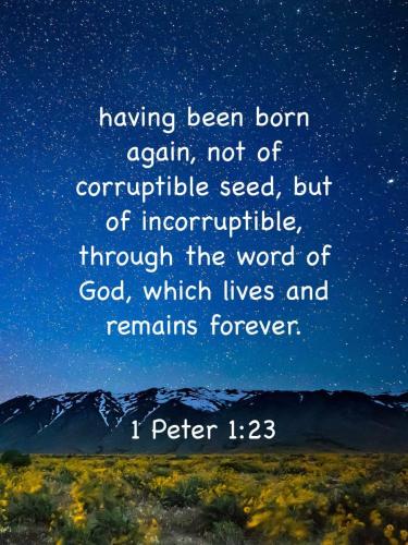 09:06:33 GMT-0400 (EDT)