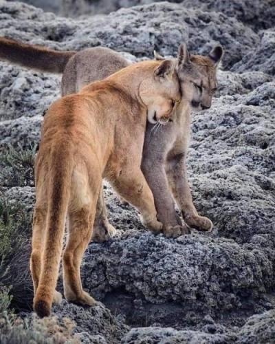 tumblr_c32100a2feec4e679e46a778cf7d7ac8_ad220fc4_500