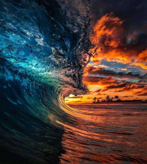 cb009405-7c5a-44b1-ae51-7e9dbe54e437