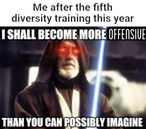 diversity training