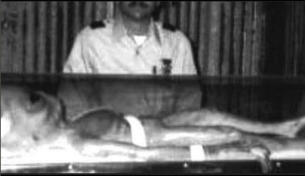 Screen Shot 2021-07-27 at 12.48.39 PM