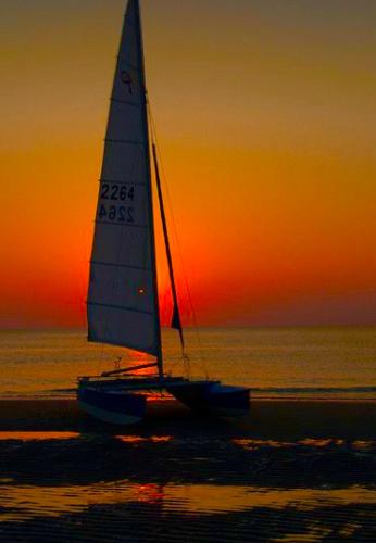 5412C71D-3CF2-49D2-8DA1-188E9499C824