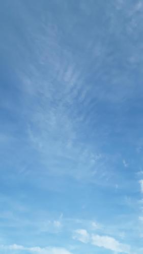 d04d6dc5-72f6-4ae3-acb4-9131cb4554fb