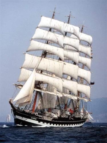 933e06ad-55d8-4af2-9664-41760aa96d3d