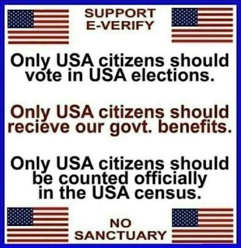 illegal immigration276