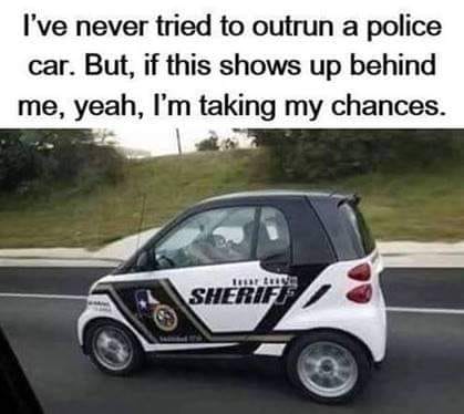 277814199_157600753391344_7410334825147403051_n