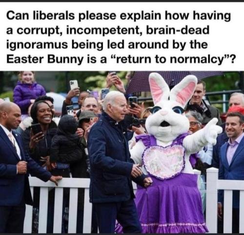 ccf2a296-7f18-415b-88e4-be06423df492