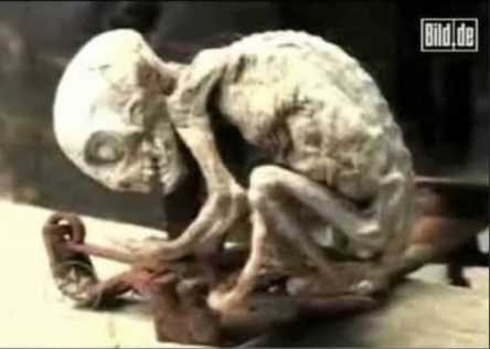 Screen Shot 2021-07-27 at 12.49.27 PM