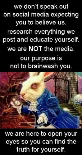 rabbit hole00