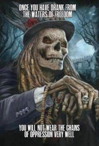 1c76e574-b468-4469-a911-abdb852d0034