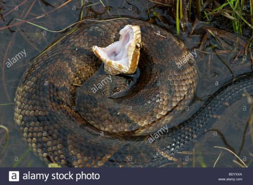 35949093_10209252534310580_3897462137110396928_n