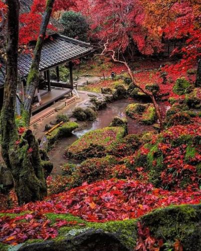 277103003_517475289748478_8183329579336738615_n