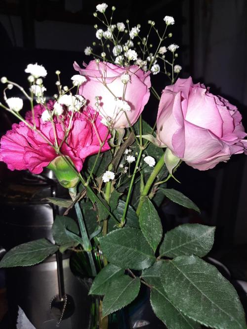 90fb6b2f-c9df-4fe6-ab5e-be6dbae819f6