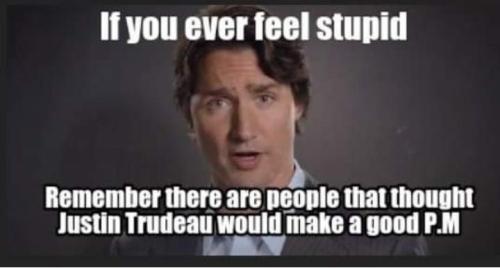 98c62910-df2a-4907-8878-ffa79d137b33