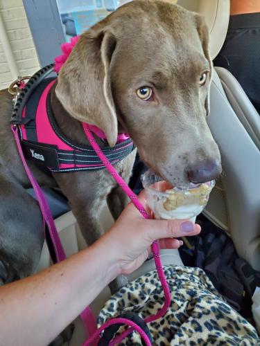 b472bbc2-0a8d-4f9b-ba8f-80882cf4b976