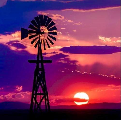 0C4354DD-D255-41C0-B568-F17E6639DC36