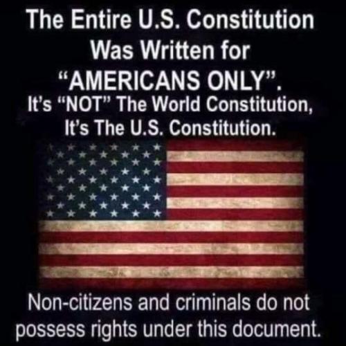 f8bff77c-8821-4504-80e5-47d736cb1d3f