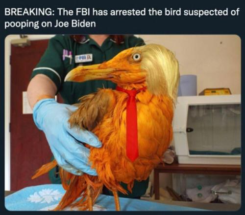 41AD2600-0593-4C16-BD7D-F91C04342843