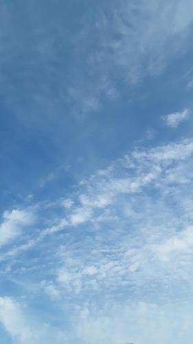 c9ccb0b2-abe8-4701-98ea-e158bd0dc54d