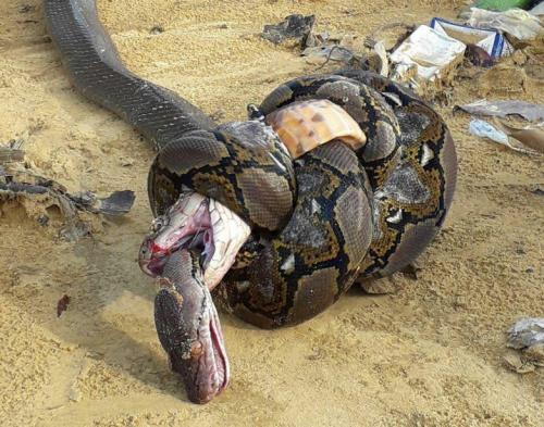 35758864_10209237157046158_9088220260842078208_n